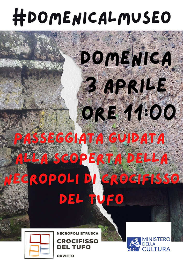 #Domenica al Museo. Passeggiata guidata alla Necropoli